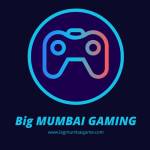 Big Mumbai Profile Picture