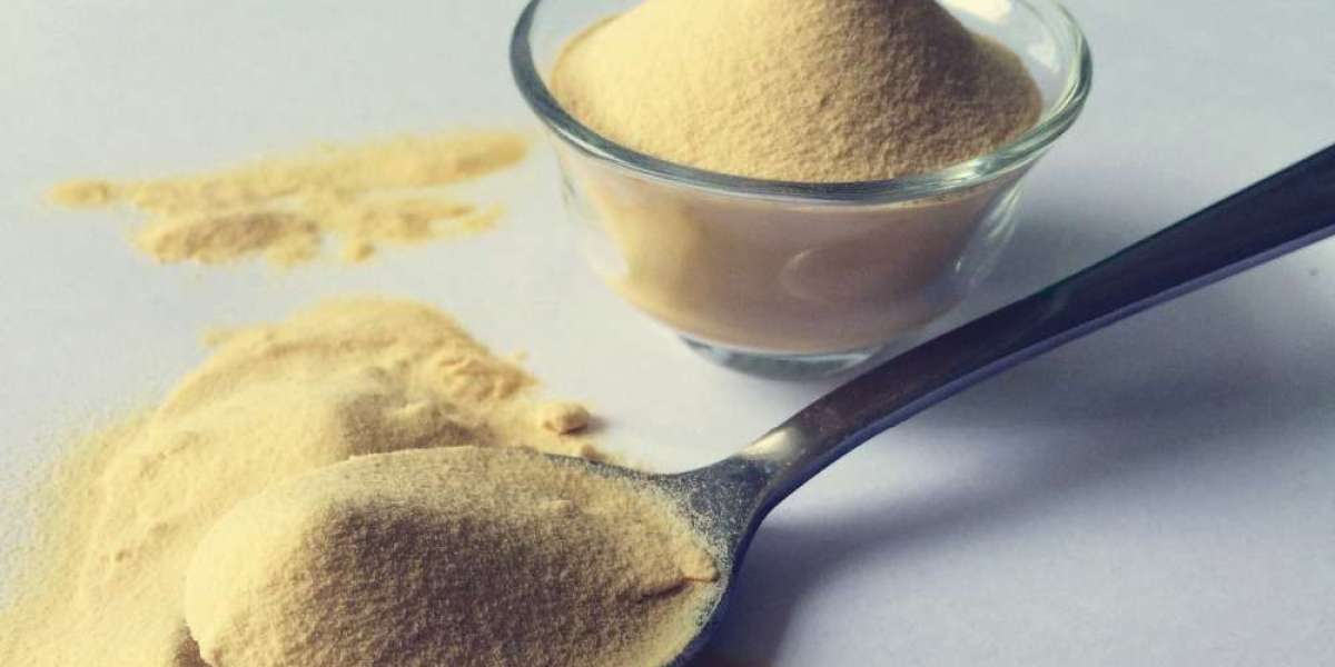 Yeast Extract Market Opportunities and Growth Forecast to 2027