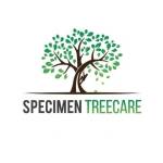 Specimen Treecare Ltd Profile Picture