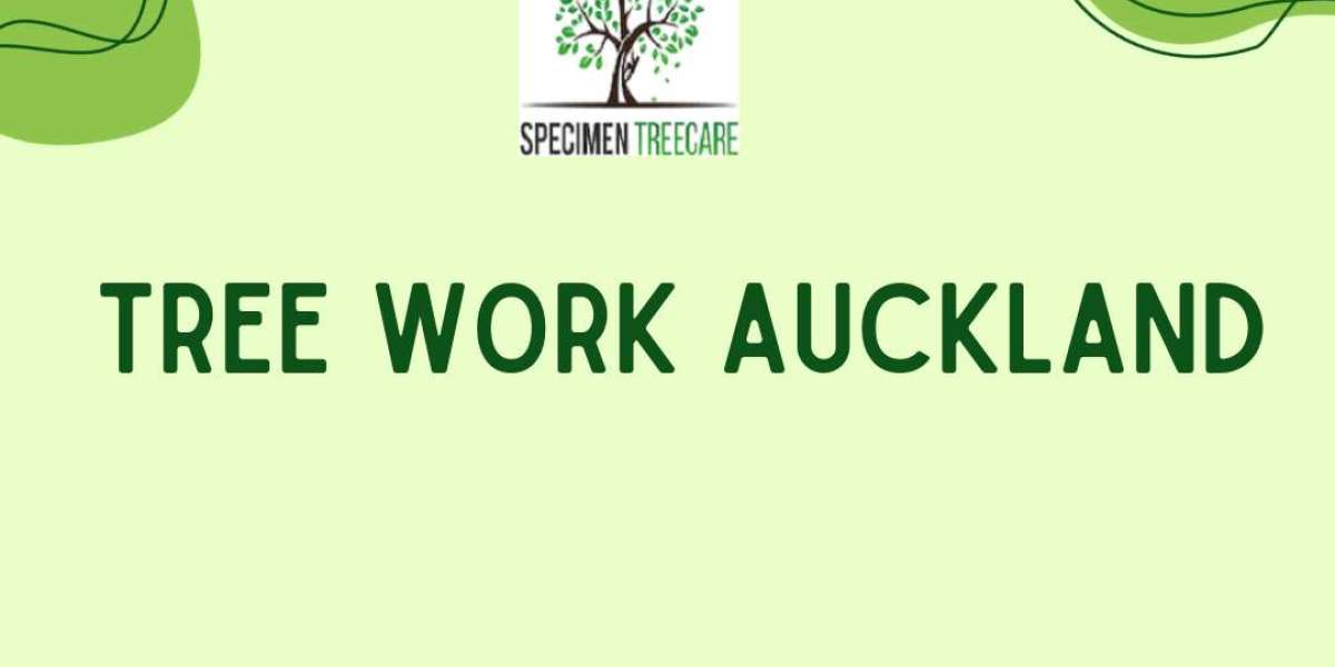 Expert Tree Removal Services in Auckland from Auckland Arboreal Solutions