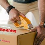 budgetcity movers Profile Picture