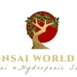 Bonsai World LLC Profile Picture