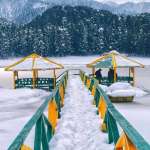 MRPS Hotels Profile Picture