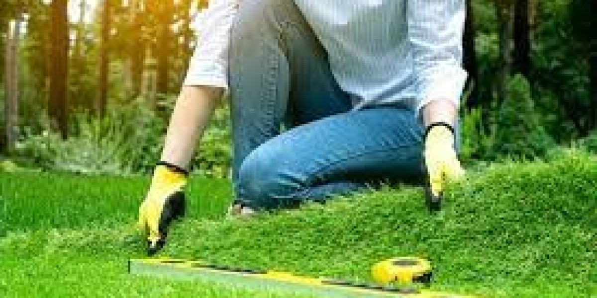 Professional Artificial Turf Installation Services in Nampa, ID