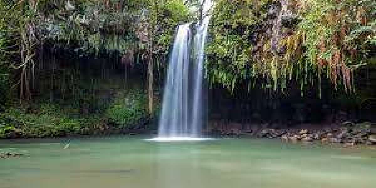 maui waterfall hike