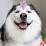 wwin345123 wwin345123 Profile Picture