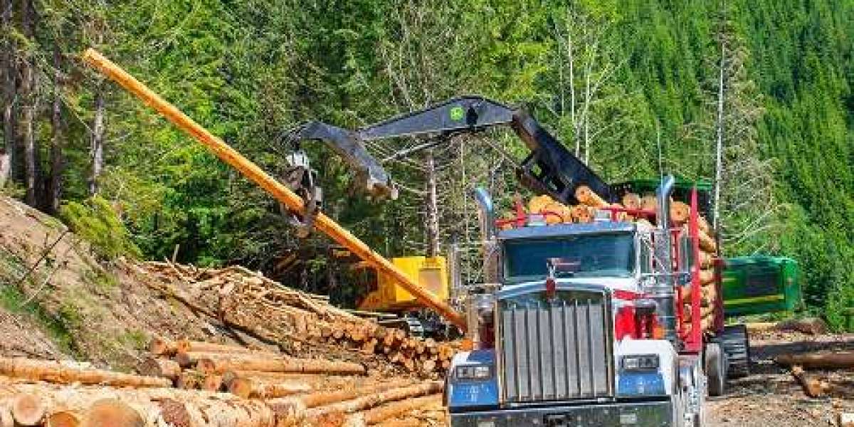 The Importance of Proper Planning in Land Clearing Operations