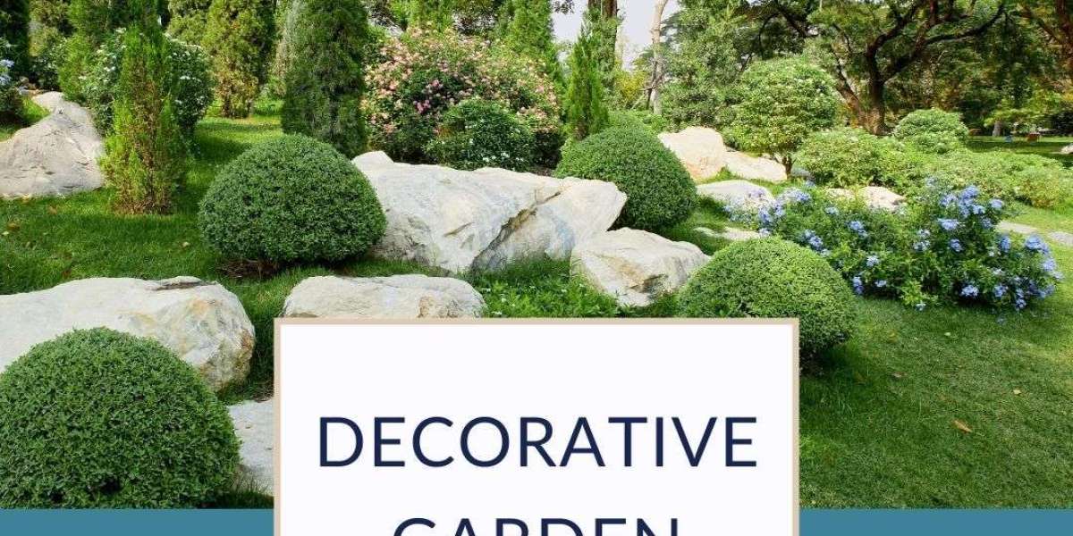 Beyond Boundaries: The Beauty of Decorative Walls in Garden Design