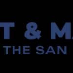 Safwat Marston Profile Picture