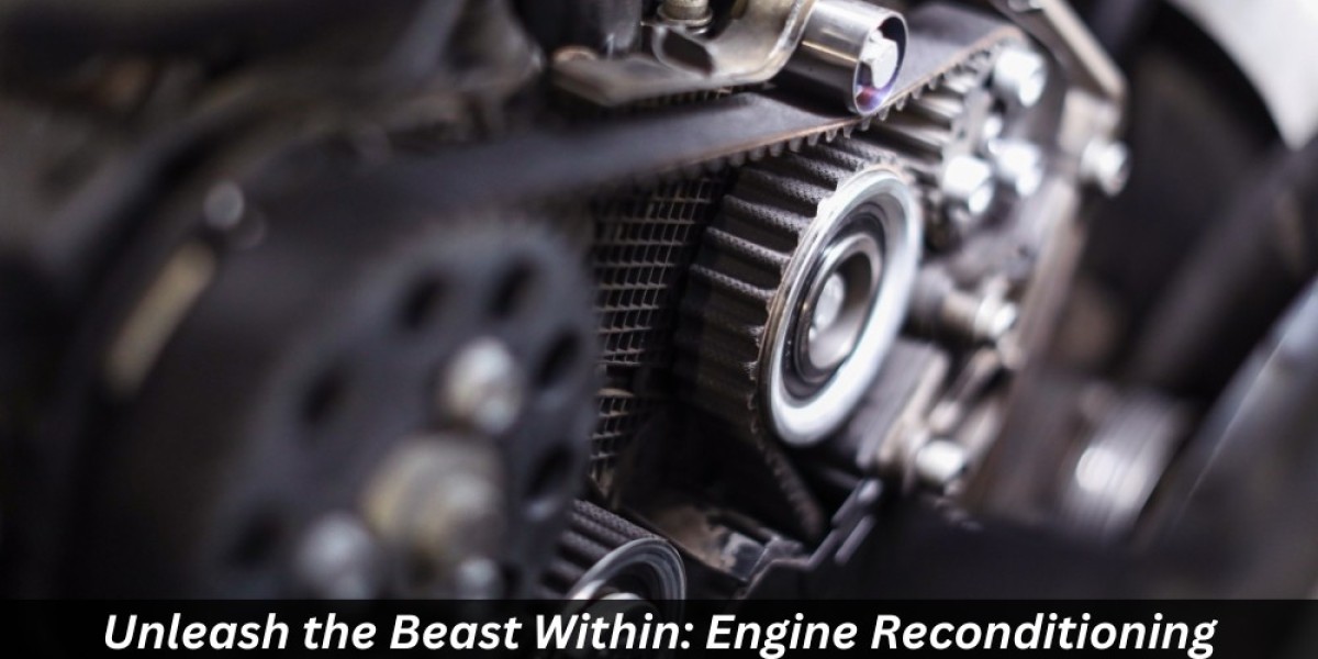 Unleash the Beast Within Engine Reconditioning Excellence in Sydney!