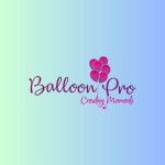 Birthday Balloon Decorators Profile Picture