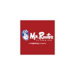 Mr. Rooter Plumbing of Tampa Profile Picture