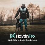 dogtrainerdigital marketing Profile Picture