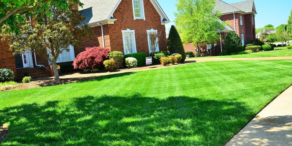 Top Lawn Landscaping Services in Nampa, ID: Transforming Your Outdoor Space with Tree City Lawn LLC