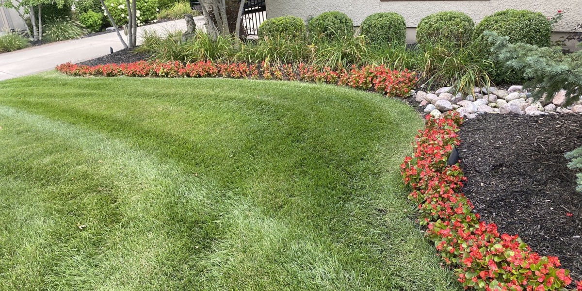 How Did a Landscaping Company Help Maintain Beautiful Outdoors?