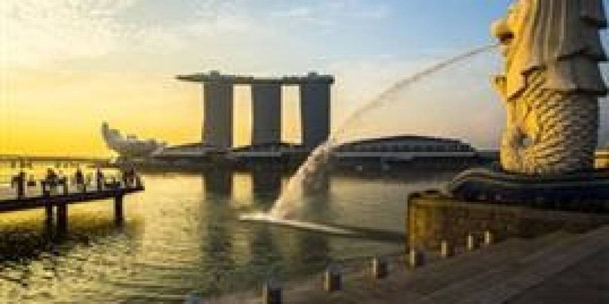 Explore the Lion City: Unveiling Irresistible Singapore Packages