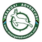 Msangai Adventure Profile Picture