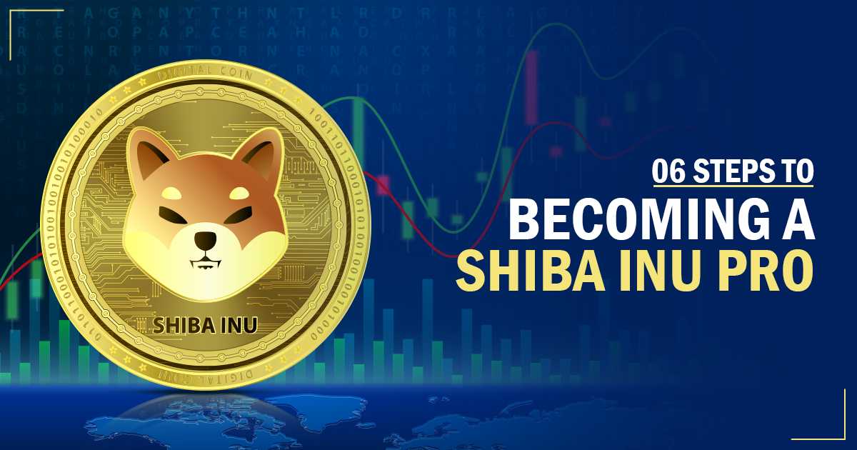 6 Steps to Becoming a Shiba Inu Pro
