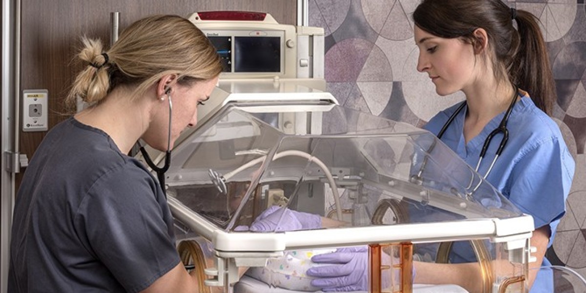 The Neonatal Intensive Care Unit (NICU)