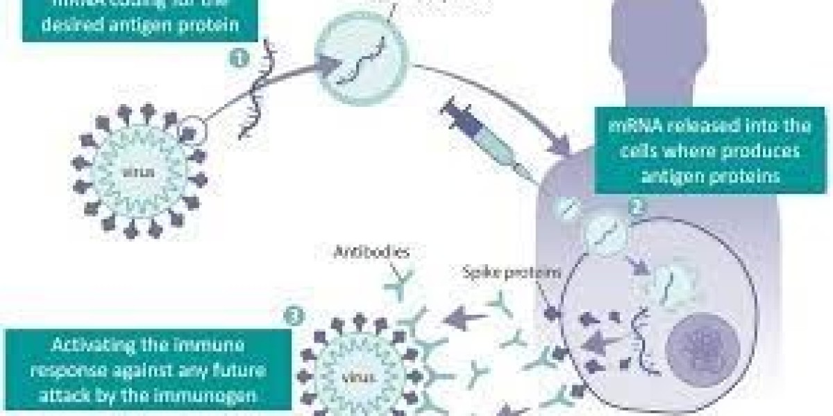 mRNA Vaccines Market Industry Size and Forecast 2033