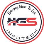 HGS Infotech Profile Picture