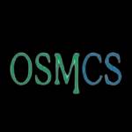 Os Managment Consulting Services Profile Picture
