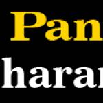 pandit charanteja Profile Picture