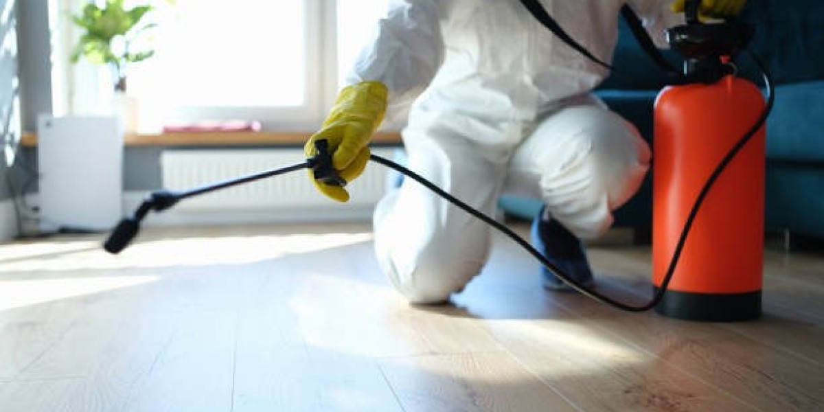 What are the benefits of professional pest control services?