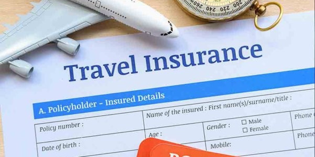 Safeguard Your Safari: A Quick Guide to Obtaining Travel Insurance for Tanzania