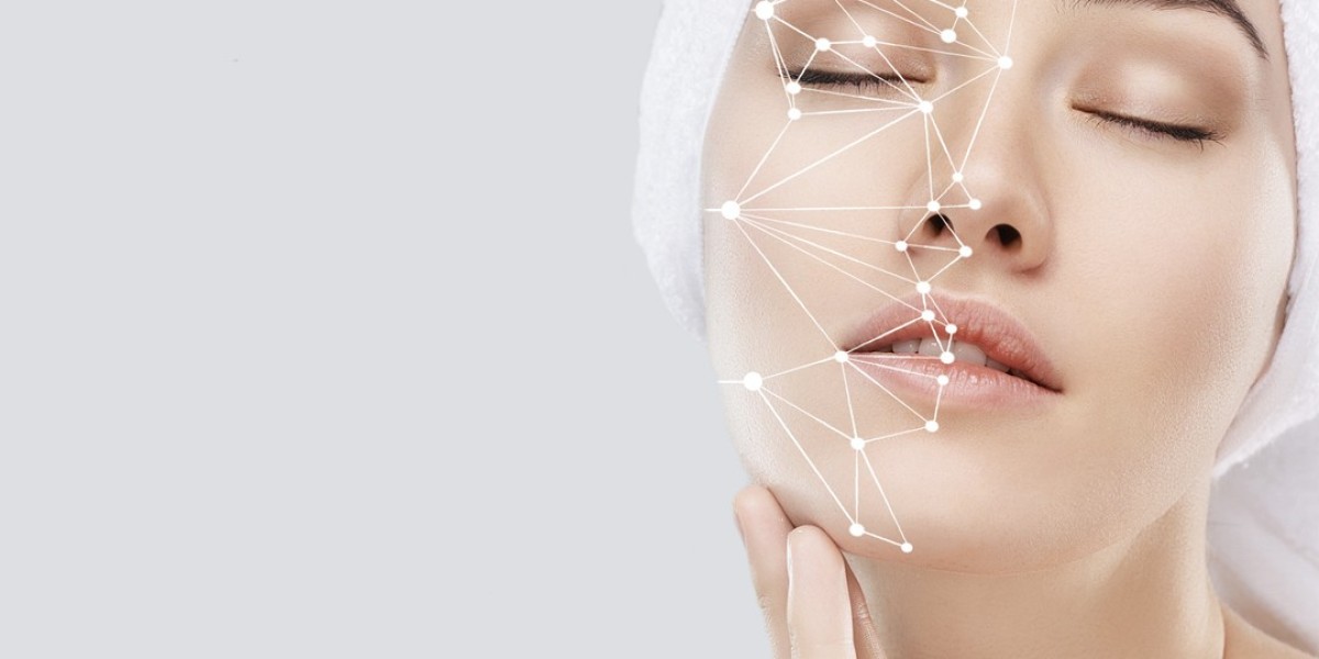 Facial Aesthetics Market Segment Strategies and Growth Forecasts by 2031