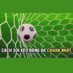 soi kèo bóng đá Profile Picture
