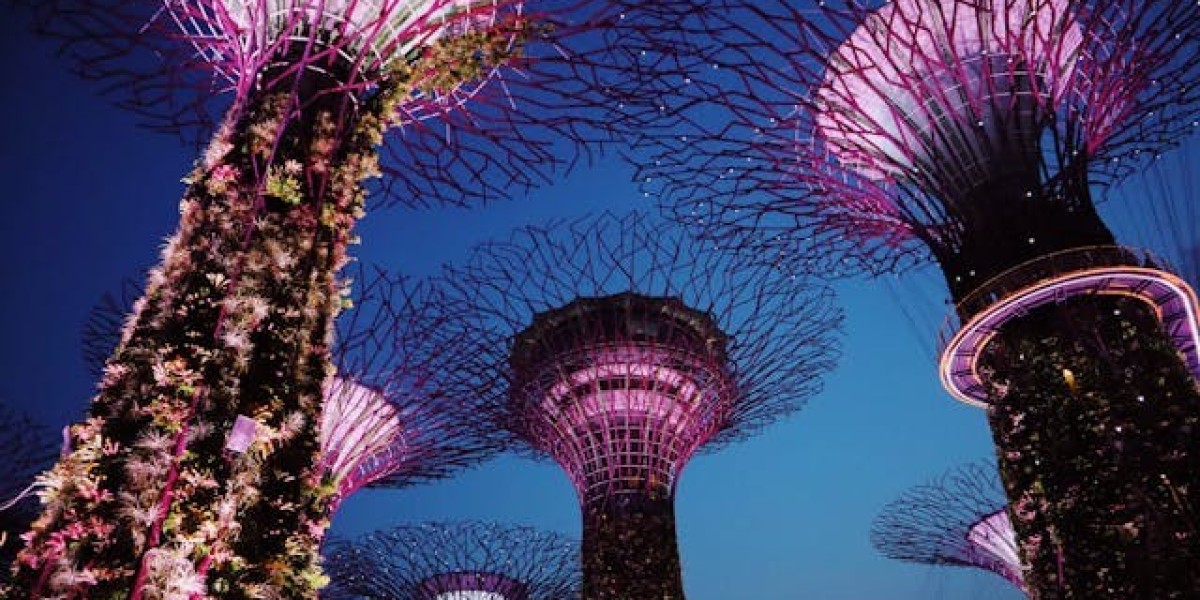 Exploring the wonders of singapore and malaysia with singapore malaysia tour packages [2024]