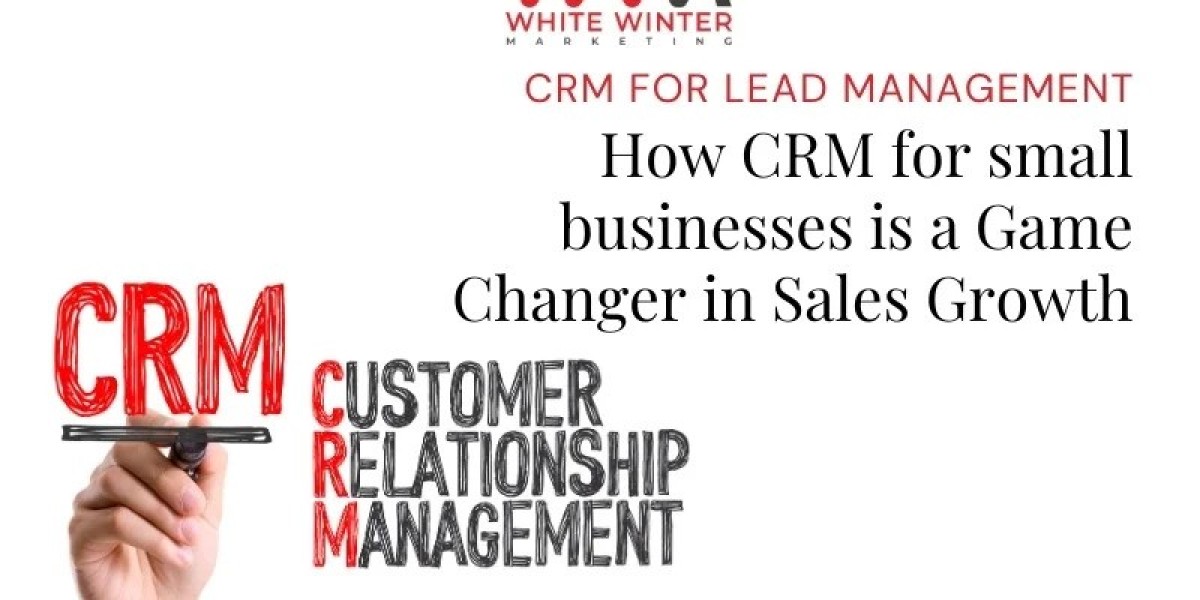 Small Business, Big Impact: The Role of CRM in Streamlining Lead Management