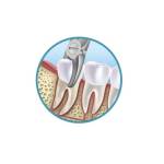 Troyhoover Dentist Profile Picture
