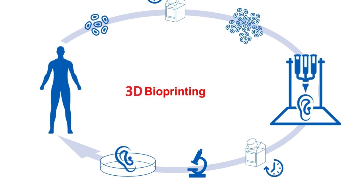3D Bioprinting Market Boom: Revolutionizing Healthcare with Bioprinted Organs & Stem Cells