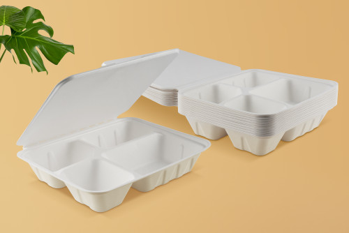 Eco-Friendly Food Packaging Solutions: Sugarcane Bagasse Takeaway Boxes