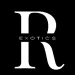 Roma Exotics Profile Picture