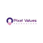 Pixel Values Technolabs Profile Picture