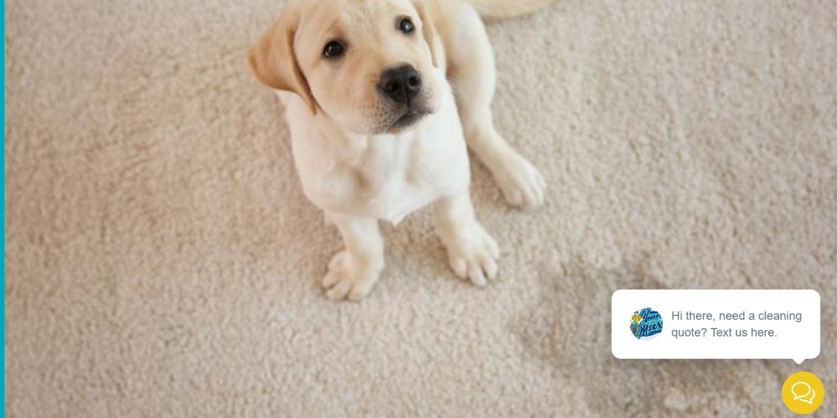 How to Remove Dog Pee and Other Stains from Carpet