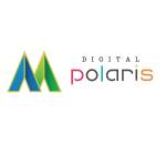 Digital Polaris Profile Picture