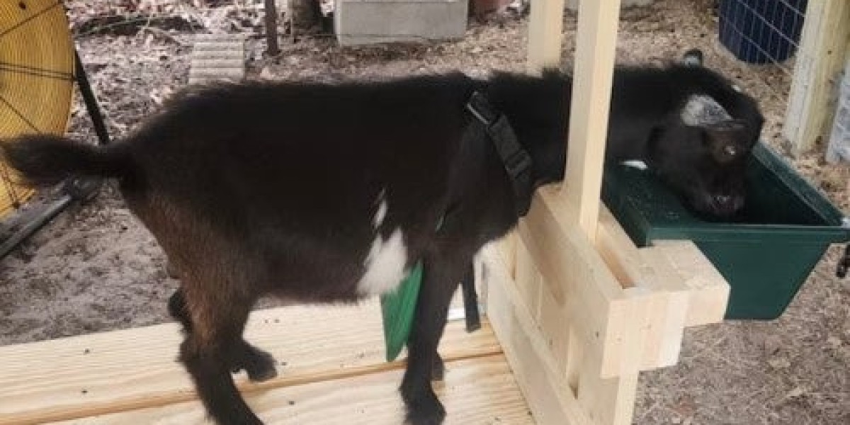 Tips for Maintaining Your Simple Goat Milking Stand