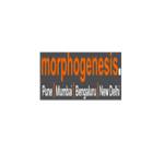 Morpho gensis Profile Picture
