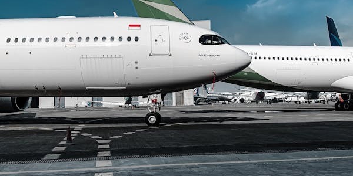 Everything You Need to Know About Flight Nannies for Pets