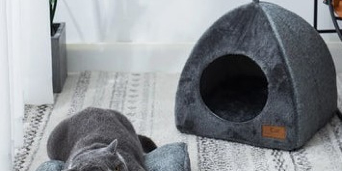 Maximize Comfort: Choosing the Right Pet Bed for Your Furry Friend