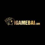 IGAME BAI Profile Picture