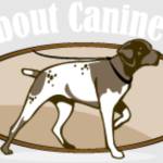 All About Canine Care Profile Picture