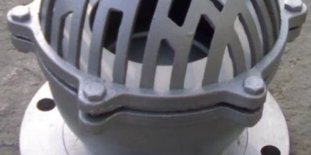 Foot valve manufacturer in Brazil