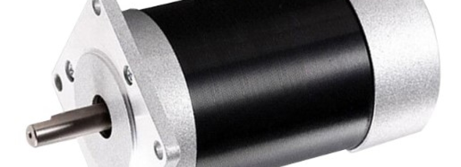 36V Brushless DC Motor Cover Image