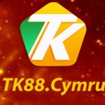 TK88 Profile Picture