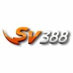 SV388 Photo Profile Picture